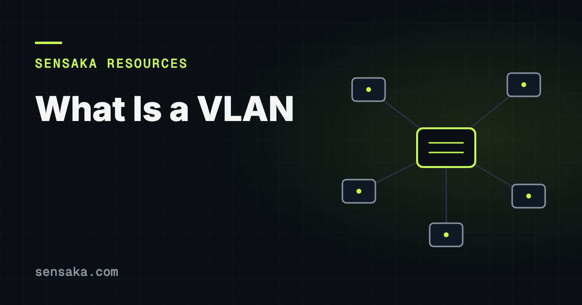 What Is a VLAN? Virtual LAN Explained: illustration of a network of linked devices