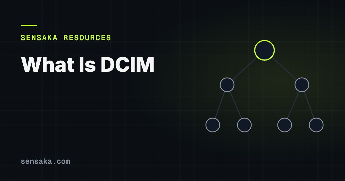 What Is DCIM? Data Center Infrastructure Management: illustration of a linked record graph (CMDB)
