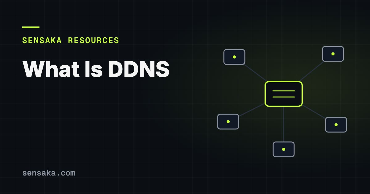 What Is DDNS? Dynamic DNS Explained: illustration of a network of linked devices